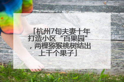 杭州7旬夫妻十年打造小区“百果园”，两棵猕猴桃树结出上千个果子