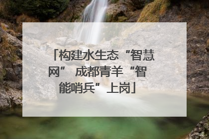 构建水生态“智慧网” 成都青羊“智能哨兵”上岗
