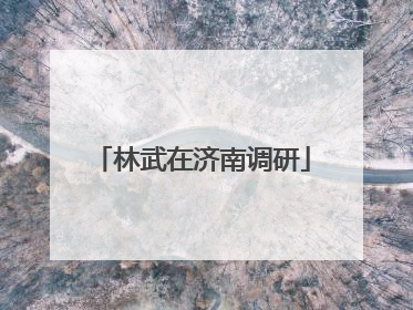 林武在济南调研