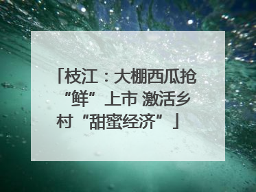 枝江：大棚西瓜抢“鲜”上市 激活乡村“甜蜜经济”