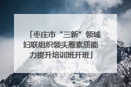枣庄市“三新”领域妇联组织领头雁素质能力提升培训班开班