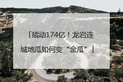 撬动174亿！龙岩连城地瓜如何变“金瓜”