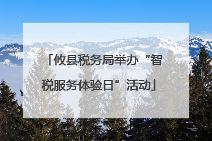 攸县税务局举办“智税服务体验日”活动