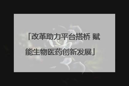 改革助力平台搭桥 赋能生物医药创新发展
