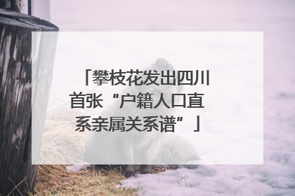 攀枝花发出四川首张“户籍人口直系亲属关系谱”