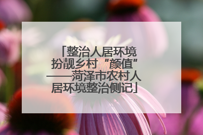 整治人居环境 扮靓乡村“颜值”——菏泽市农村人居环境整治侧记