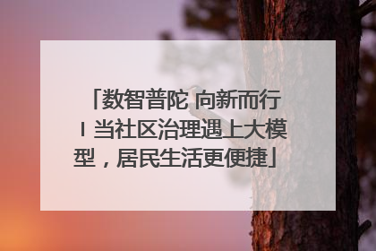 数智普陀 向新而行〡当社区治理遇上大模型，居民生活更便捷