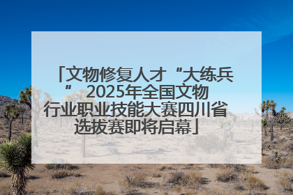 文物修复人才“大练兵” 2025年全国文物行业职业技能大赛四川省选拔赛即将启幕