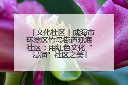 文化社区丨威海市环翠区竹岛街道观海社区：用红色文化“浸润”社区之美