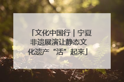 文化中国行｜宁夏 非遗展演让静态文化遗产“活”起来