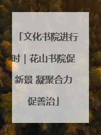 文化书院进行时｜花山书院促新景 凝聚合力促善治