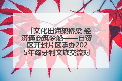文化出海架桥梁 经济通商筑梦船——自贸区开封片区承办2025年匈牙利文旅交流对接活动专场