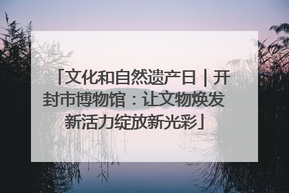 文化和自然遗产日｜开封市博物馆：让文物焕发新活力绽放新光彩