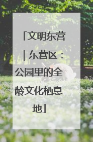 文明东营｜东营区：公园里的全龄文化栖息地