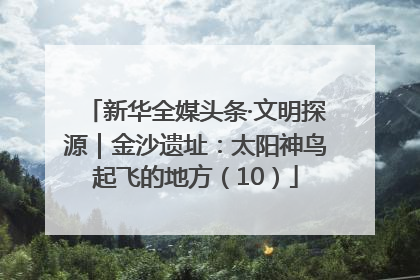 新华全媒头条·文明探源｜金沙遗址：太阳神鸟起飞的地方（10）