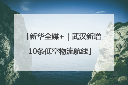新华全媒+｜武汉新增10条低空物流航线