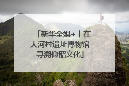 新华全媒+丨在大河村遗址博物馆寻溯仰韶文化