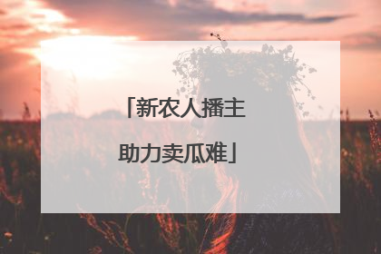 新农人播主 助力卖瓜难