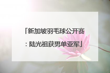 新加坡羽毛球公开赛：陆光祖获男单亚军