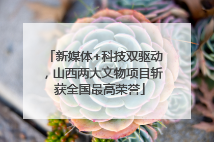 新媒体+科技双驱动，山西两大文物项目斩获全国最高荣誉