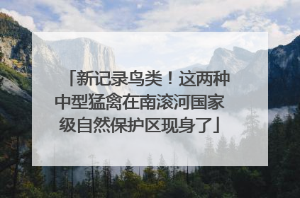 新记录鸟类！这两种中型猛禽在南滚河国家级自然保护区现身了