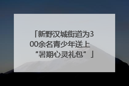 新野汉城街道为300余名青少年送上“暑期心灵礼包”