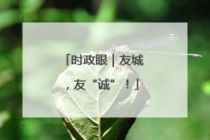 时政眼｜友城，友“诚”！