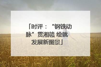 时评：“钢铁动脉”贯湘赣 绘就发展新图景