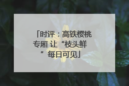 时评：高铁樱桃专厢 让“枝头鲜”每日可见