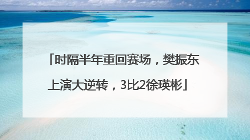 时隔半年重回赛场，樊振东上演大逆转，3比2徐瑛彬