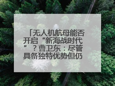 无人机航母能否开启“新海战时代”？曹卫东：尽管具备独特优势但仍无法与传统航母相提并论