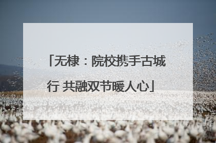 无棣：院校携手古城行 共融双节暖人心