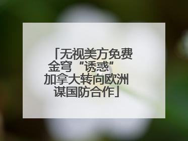 无视美方免费金穹“诱惑” 加拿大转向欧洲谋国防合作
