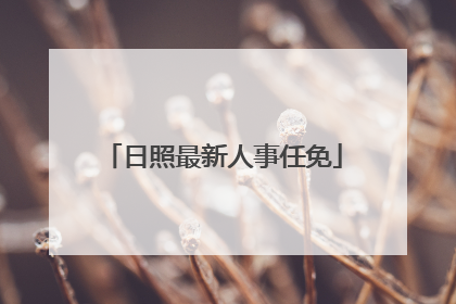 日照最新人事任免