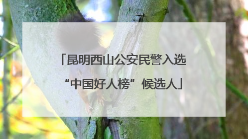 昆明西山公安民警入选“中国好人榜”候选人