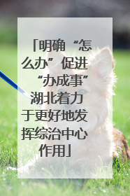 明确“怎么办”促进“办成事” 湖北着力于更好地发挥综治中心作用