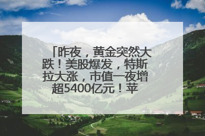 昨夜，黄金突然大跌！美股爆发，特斯拉大涨，市值一夜增超5400亿元！苹果传来大消息
