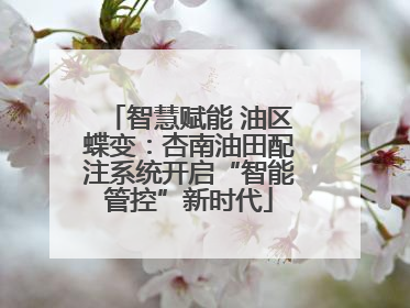 智慧赋能 油区蝶变：杏南油田配注系统开启“智能管控”新时代