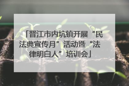 晋江市内坑镇开展“民法典宣传月”活动暨“法律明白人”培训会