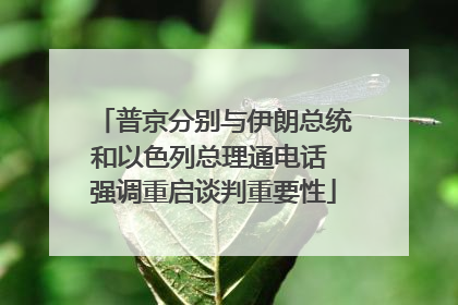 普京分别与伊朗总统和以色列总理通电话 强调重启谈判重要性