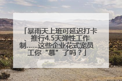 暴雨天上班可延迟打卡、推行4.5天弹性工作制……这些企业花式宠员工你“慕”了吗？