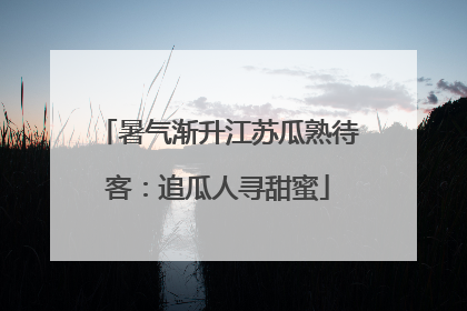 暑气渐升江苏瓜熟待客：追瓜人寻甜蜜