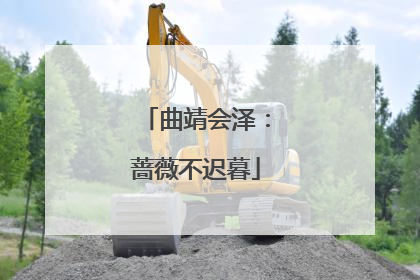 曲靖会泽：蔷薇不迟暮