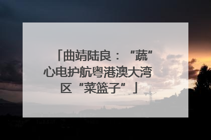 曲靖陆良：“蔬”心电护航粤港澳大湾区“菜篮子”