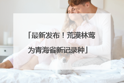 最新发布！荒漠林莺为青海省新记录种