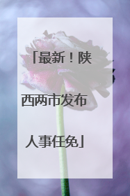 最新！陕西两市发布人事任免