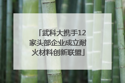 武科大携手12家头部企业成立耐火材料创新联盟