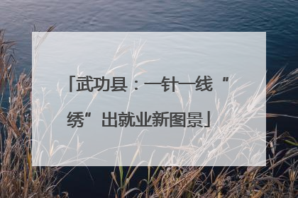 武功县：一针一线“绣”出就业新图景