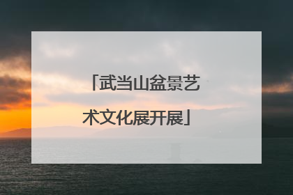 武当山盆景艺术文化展开展