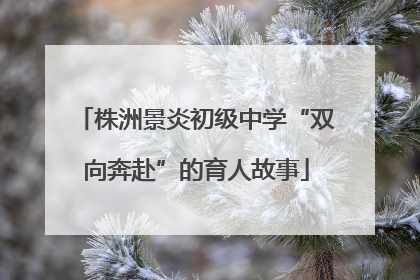 株洲景炎初级中学“双向奔赴”的育人故事
